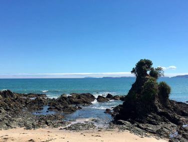Kuaotunu, New Zealand #csmidlifegapyear #memories #travel #travelblogger #travelbug #tbt #photo #adventure #amemoryaday #photooftheday #apictureaday …