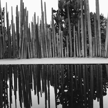 Mirror of duality. . . . . . . . . . . .…