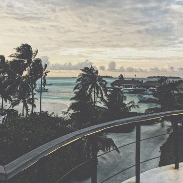 – A month until I’m back in the sun, but upcoming ny is fab…