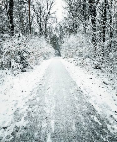 Walking in the snow ️ January in Stuttgart ️️ #winter #snow . . .…