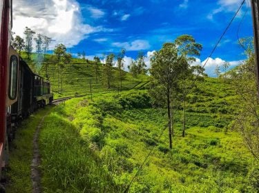 One of the most scenic views from Sri Lanka! Through the green leaves and…