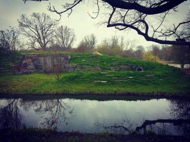 #vondelpark #amsterdam #helloamsterdam #twmd #travelgram #traveling #cityscape #bnesimppl #hobbit #wanderlust #citiesofdreams #iamamsterdam #trees #bestcitymoments…