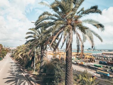 Barcelona, Spain • Here’s to getting through blue Monday I bet there’s no winter…