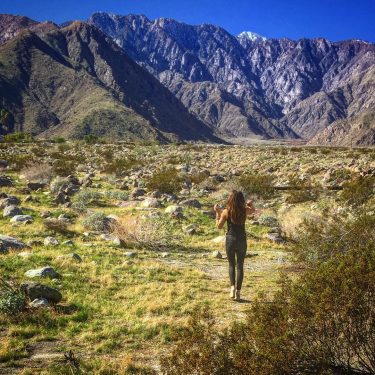~ Sometimes, you find yourself in the middle of nowhere, and sometimes, in the…