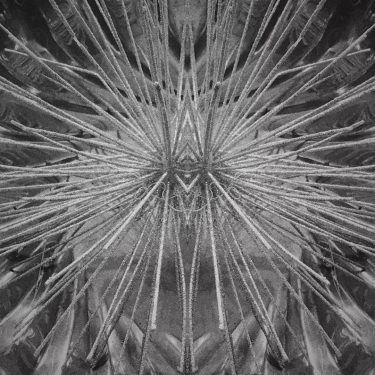 #fotoartistiche #bnesimppl #fotartplgz #pierluigizag Edited with: @carbonblackandwhite _ #abstract #art #abstractart #abstracters_anonymous #abstract_buff #abstraction…