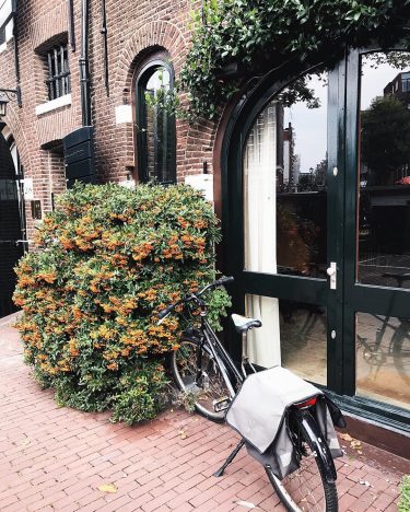 Extremely cosy streets of Amsterdam????