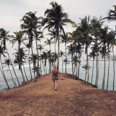 *** Coconut Hill has become an insta sensation! It is no wonder why as…