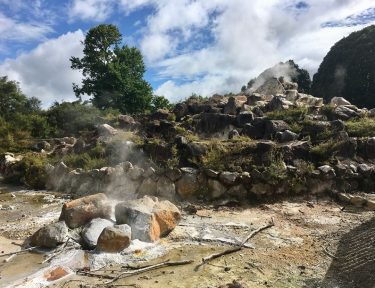 Kuirau Park, Rotorua; New Zealand #csmidlifegapyear #memories #travel #travelblogger #travelbug #tbt #photo #adventure #amemoryaday…