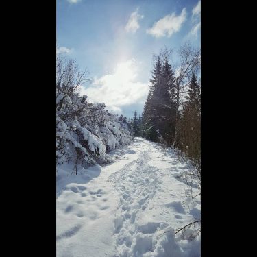 Sunny snowy days like . . #beautifuldestinations #bestplacestogo #wonderful_destinations #wonderful_places #passionpassport #travelblogger #traveldreamseekers #iamtb…
