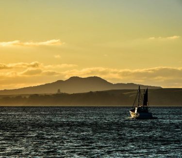 Waiheke Sunset. . . #sunsetview #ig_shotz #ig_masterpiece #sunset_pics #sunset_stream #ig_great_pics #sunset_hub #sunsetlover #sunsetlovers #закат…