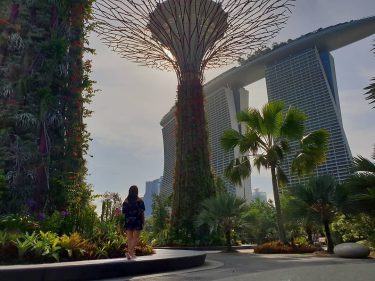 has to be our #favourite #photo so far, absolutely #breathtaking. #singapore #you are just…