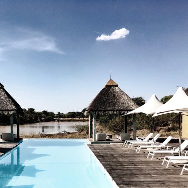 Took this picture after a game drive in SA. The feeling of swimming in…