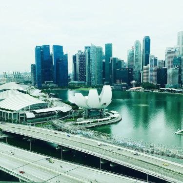 Throwback to the gorgeous skyline of Singapore, as seen from the Singapore Flyer .…
