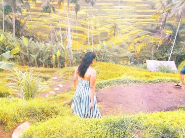 The rice terraces in Bali are breathtaking . . . . . #baligasm #balilivin…