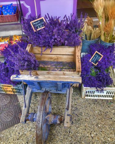 ???????? Provenza Giugno 2018 I colori e i profumi della lavanda nel massimo della…