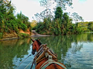 Viajes cargados de muchas historias Ph. Johan Rentería . #travelphotography #adventure #instatravel #vacation #travelgram…