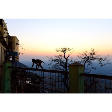 Mount Popa, 2018 Ever been to a temple where there are perhaps more than…