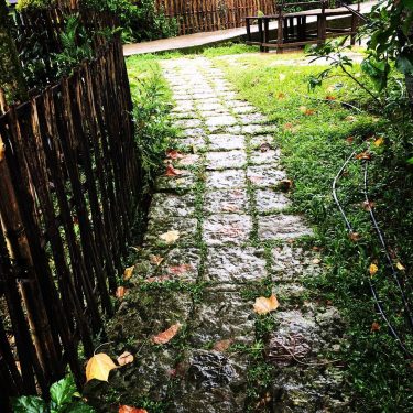 Mawlynnong is such a beautiful place for those who love Nature and Greenery. .…