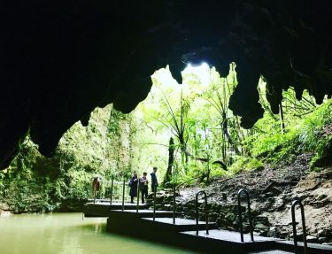 Waitomo Glow Worm Caves, New Zealand #csmidlifegapyear #memories #travel #travelblogger #travelbug #tbt #photo #adventure…