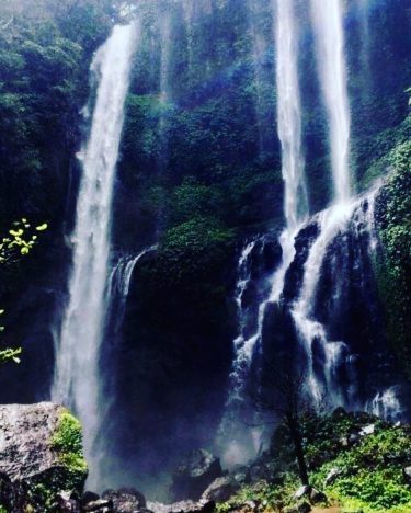 At nearly 300ft, Sekumpul Waterfall will take your breath away! Enjoy this natural wonder…