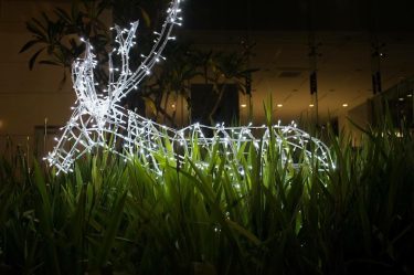 Throwback to Christmas decorations @colombocitycentre . (Shot with Nikon D3300 ,18-55mm lens ) .…