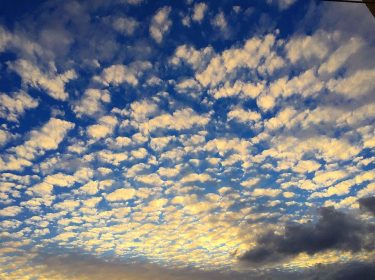 #myamazingcyprus #island #mediterranean #travel #holiday #sunset #larnaka #larnaca #palms #instagood #goodlife #summer # #traveling&hellip;