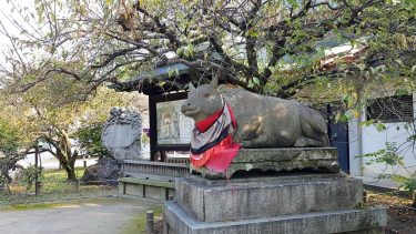 One of the most interesting and beautiful shrines I’ve ever visited. . #KitanoTenmangu #Kyoto…