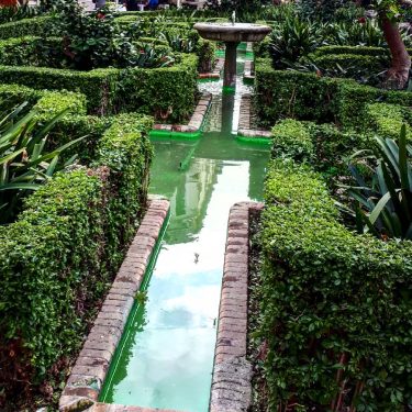One of the many pretty gardens you’ll find in this lovely city . .…