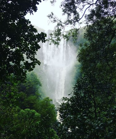 Wairere Falls, New Zealand #csmidlifegapyear #memories #travel #travelblogger #travelbug #tbt #photo #adventure #amemoryaday #photooftheday…