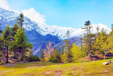 In every walk with nature, one receives far more than he seeks. ~John Muir.…