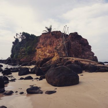 *** Parrot Rock is an incredible formation directly across from my hotel! I’ve been…