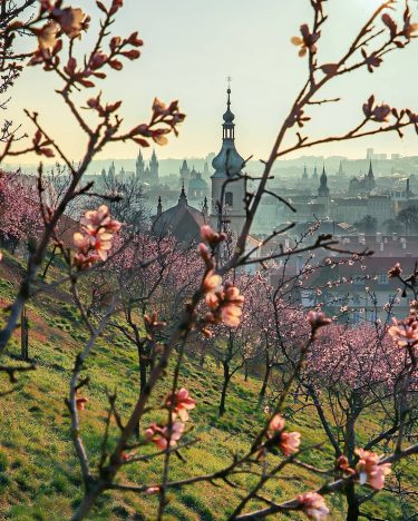 jaro na Petříně se blíží… wonderful_prague #europestyle_czechrepublic #toppraguephoto #kings_hdr #visitcz #visitprague #canonczsk #discovery_earthpix #discovery…