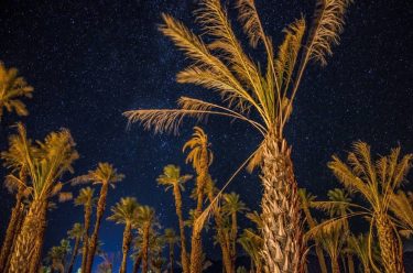 Il cielo stellato nel deserto è stata una delle cose più emozionanti di tutto…