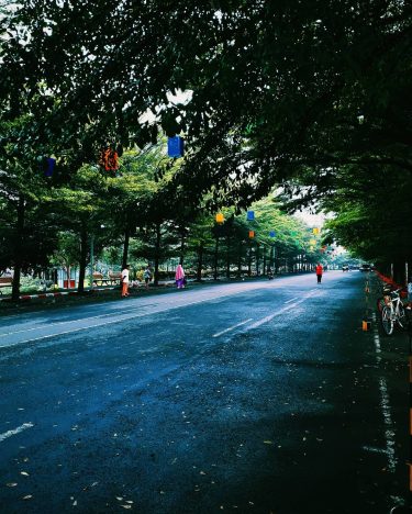 ️ After Rainy Morning. . . . Follow @shierraria for more cool photos. #photography…