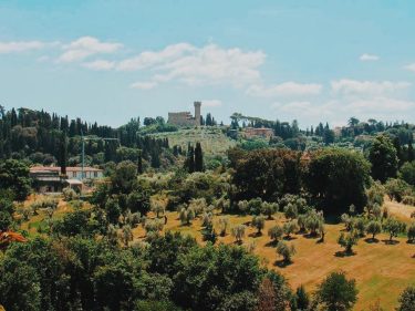 Is anything more whimsical than Florence countryside? (Please ignore the blue crane on your…