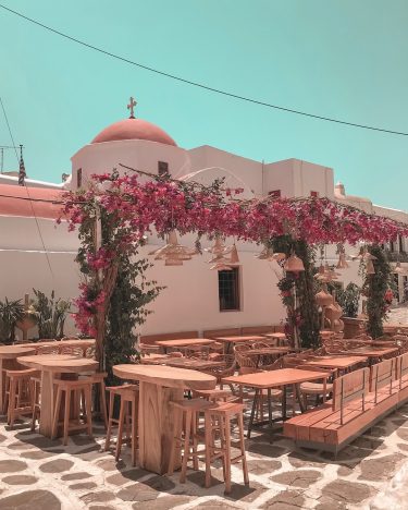 These flowers bring back all the summer memories as the snow starts to fall&hellip;