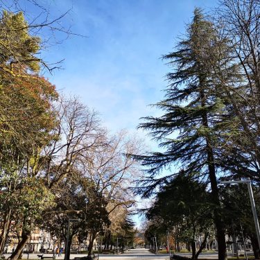 Cielo azul, parque del Salón, Palencia #photography #photo #google #googlelocalguides #video #travelphoto #travelgram #instagramers…