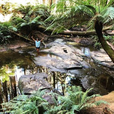 Trying and failing to spot a platypus! It would have absolutely MADE my weekend…