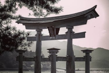 Itsukushima Jinja #japan #photography #city #canon #canonphotography #travelphotography #travel #travelblogger #travelling #amateurphotography #world #landscape…