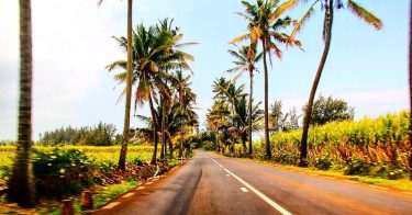 It’s a bit blurry BUT it’s green and I love that road . .…