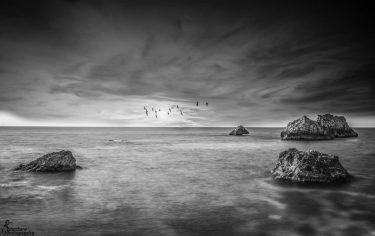 #blackandwhite @instagmalta @blackandwhite_photographers @black_and_white__life #seascape #photo #photos #pic #pics #socialsteeze #picture #art #beautiful #instagood…