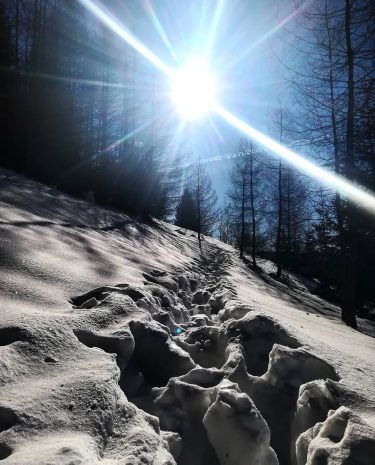 Dnes by bol hriech nevyužiť toto krásne počasie . . #Donovaly #beautiful #morning #winter…