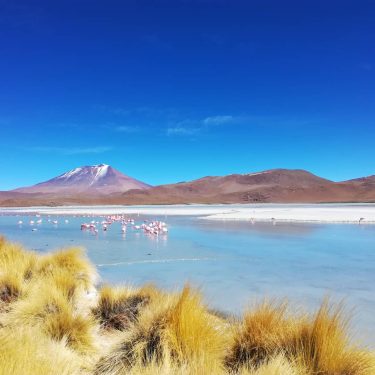 It looks so perfect that doesn’t even seem real but it Breathtaking Bolivia #nofilter…