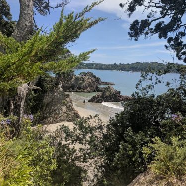 Enjoying more stunning sites at #waiheke #island love how #beautiful and #scenic #newzealand is,…