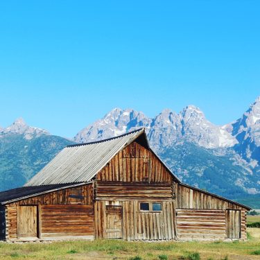 Serenity at Mormon Row #travel #vacation #nationalpark #explore #adventure #wanderlust #travelblogger #familytravel #familytravels #summervacation…