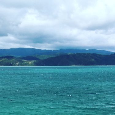 Cook Strait, New Zealand #csmidlifegapyear #memories #travel #travelblogger #travelbug #tbt #photo #adventure #amemoryaday #photooftheday…