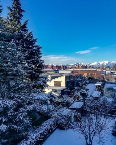 ️Snow finally came to town️ ° Non sono mai stata una grande amante dell’…