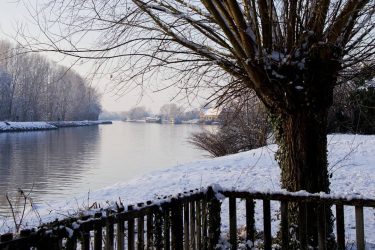 Look Back to the snowday in the north . . . . . .&hellip;