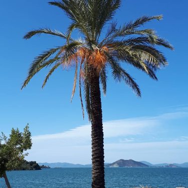 After an unusually cool and rainy January spring has arrived here in southern Turkey…