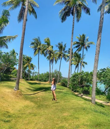 My first plan when I came in Phuket was to visit Phi Phi Island.…